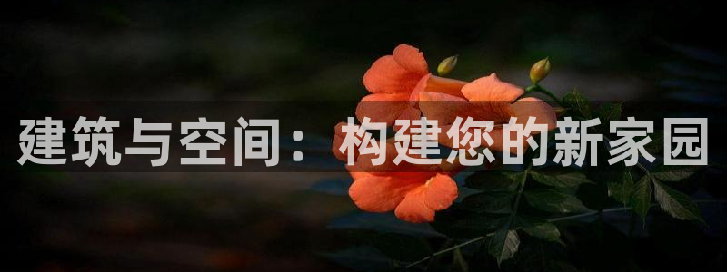 意昂3开户：建筑与空间：构建您的新家园