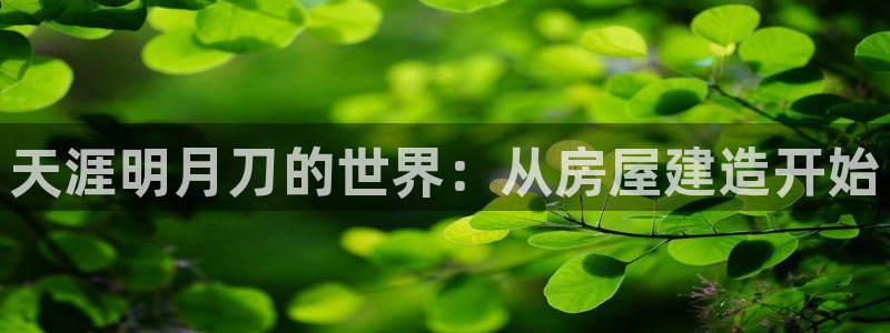 意昂体育3平台是正规平台吗知乎