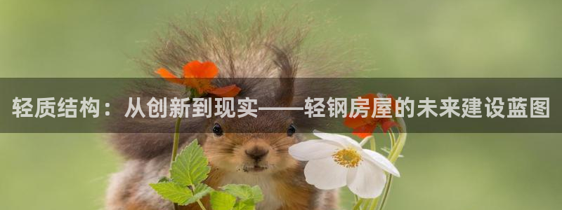 意昂体育3招商电话号码查询：轻质结构：从创新到现实——轻钢房屋的未来建设蓝图