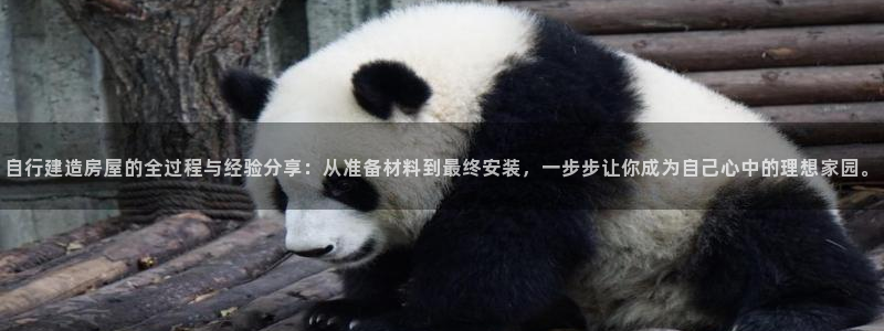 意昂体育3招商电话地址：自行建造房屋的全过程与经验分享：从准备材料到最终安装，一步步让你成为自己心中