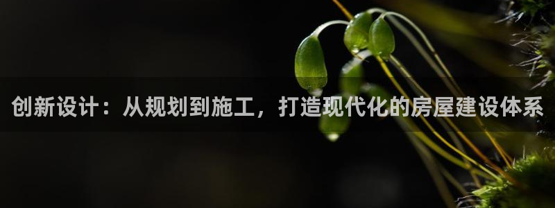 意昂体育3招商电话：创新设计：从规划到施工，打造现代化的房屋建设体系