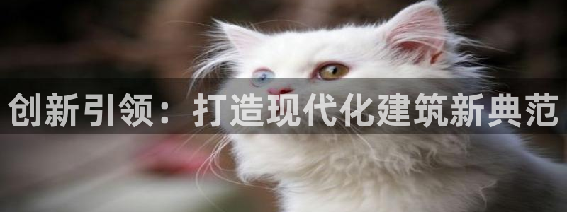 意昂体育3平台是正规平台吗知乎