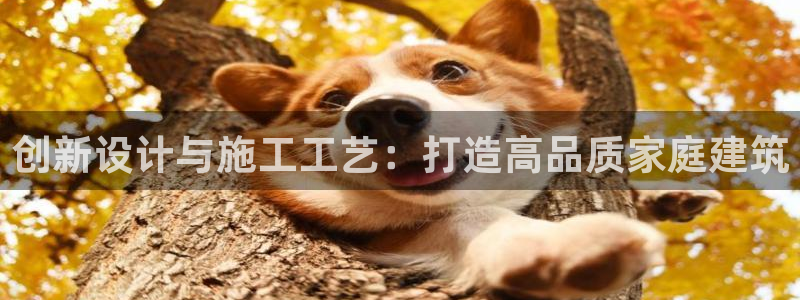 意昂体育3开户：创新设计与施工工艺：打造高品质家庭建筑