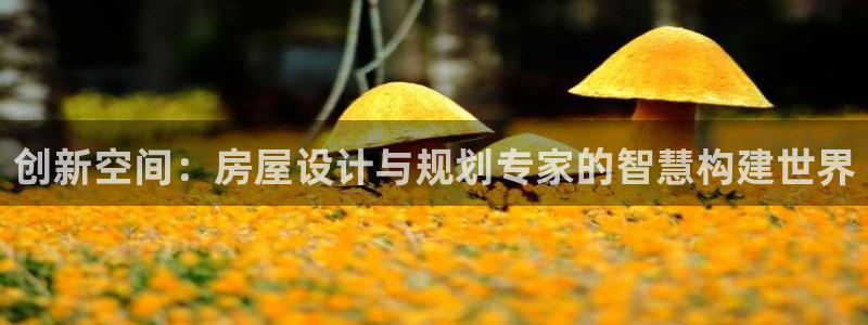 意昂体育3平台注册要钱吗是真的吗：创新空间：房屋设计与规划专家的智慧构建世界