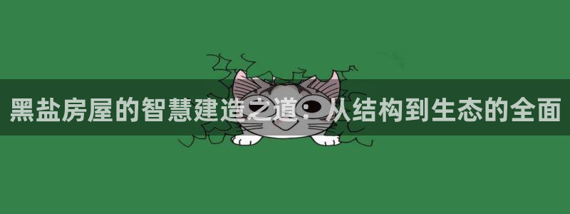 意昂3娱乐首页网站大全：黑盐房屋的智慧建造之道：从结构到生态的全面