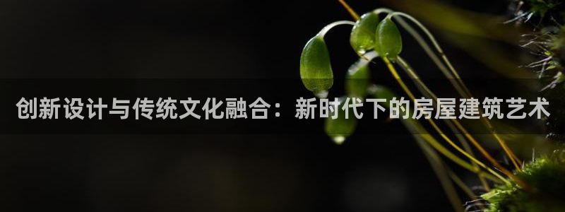 意昂3娱乐代理怎么样：创新设计与传统文化融合：新时代下的房屋建筑艺术