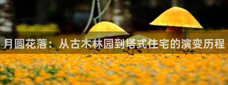 意昂3娱乐代理怎么样