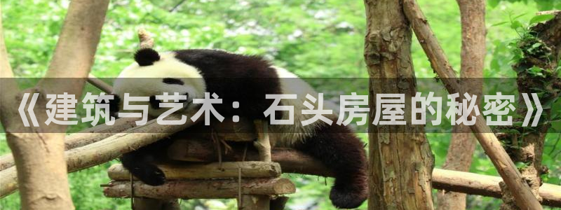 意昂体育3招商电话：《建筑与艺术：石头房屋的秘密》