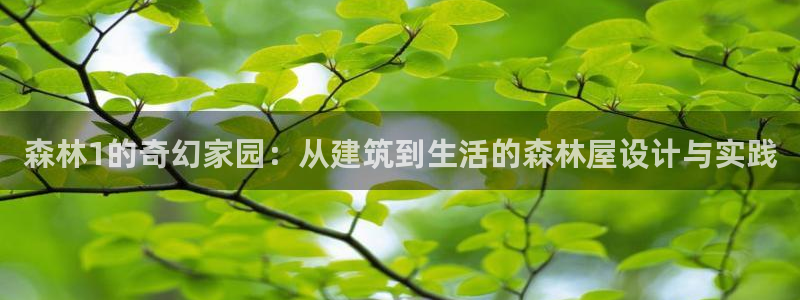 意昂3集团官网首页：森林1的奇幻家园：从建筑到生活的森林屋设计与实践