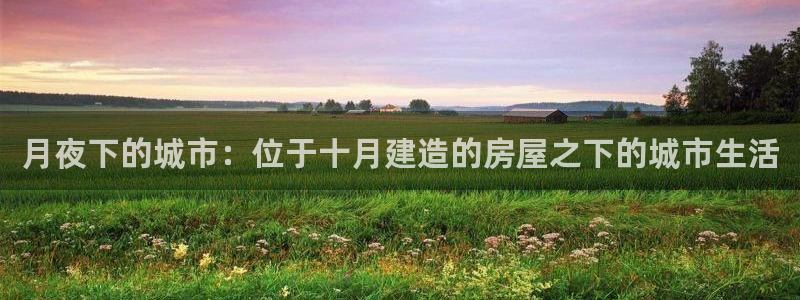 意昂3官方：月夜下的城市：位于十月建造的房屋之下的城市生活