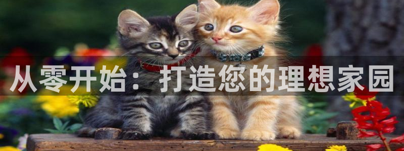 意昂体育3平台APP：从零开始：打造您的理想家园