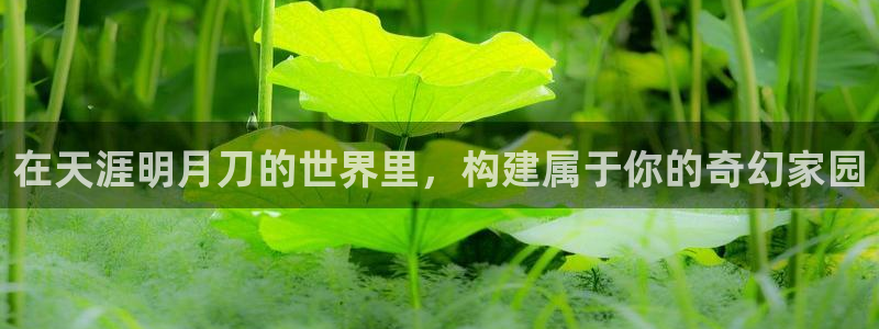 意昂体育3平台是正规平台吗：在天涯明月刀的世界里，构建属于你的奇幻家园