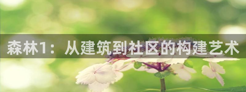 意昂3官方：森林1：从建筑到社区的构建艺术