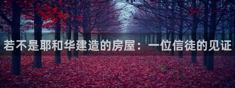 意昂平台体育：若不是耶和华建造的房屋：一位信徒的见证