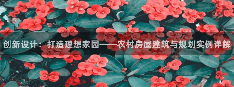 注册意昂3：创新设计：打造理想家园——农村房屋建筑与规划实例详解