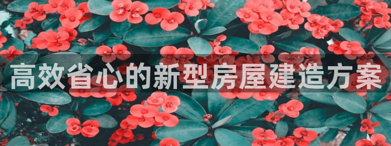 意昂体育3平台注册流程视频：高效省心的新型房屋建造方案