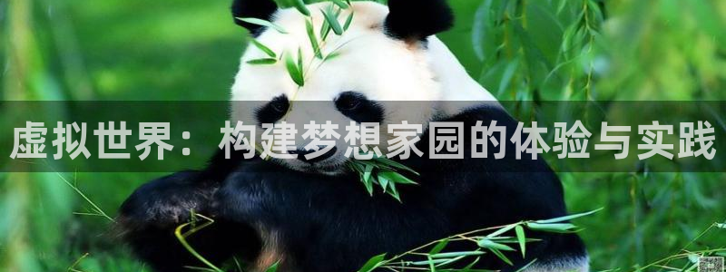 海南意昂体育3发展怎么样：虚拟世界：构建梦想家园的体验与实践