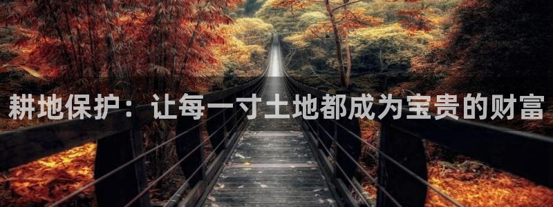 意昂3娱乐首页官网下载：耕地保护：让每一寸土地都成为宝贵的财富