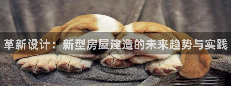 意昂3娱乐首页官网下载：革新设计：新型房屋建造的未来趋势与实践