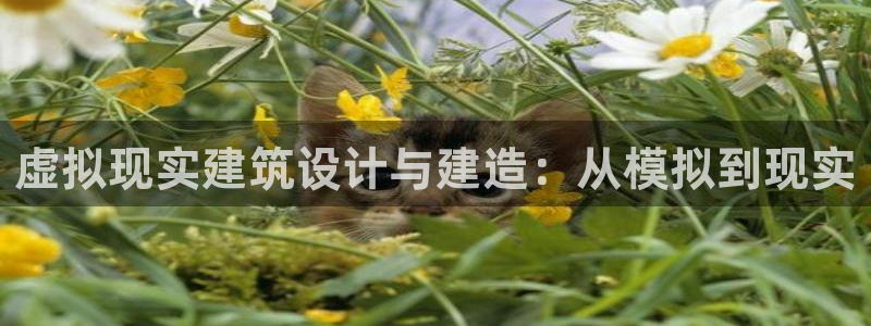 意昂3代理：虚拟现实建筑设计与建造：从模拟到现实