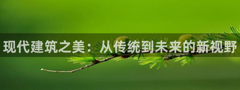 海南意昂体育3：现代建筑之美：从传统到未来的新视野