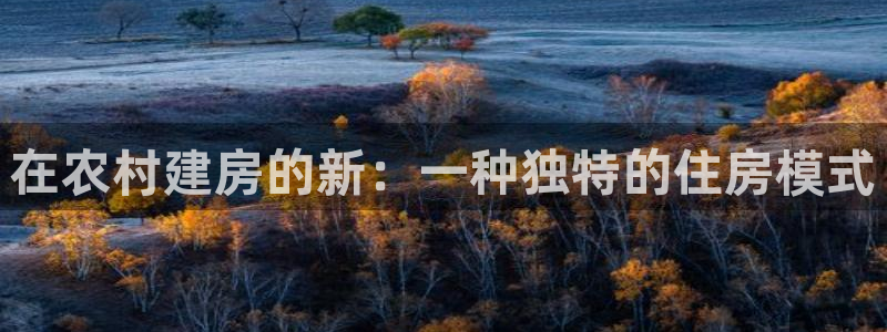 意昂3集团简介：在农村建房的新：一种独特的住房模式