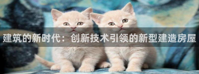 意昂体育3招商电话是多少：建筑的新时代：创新技术引领的新型建造房屋