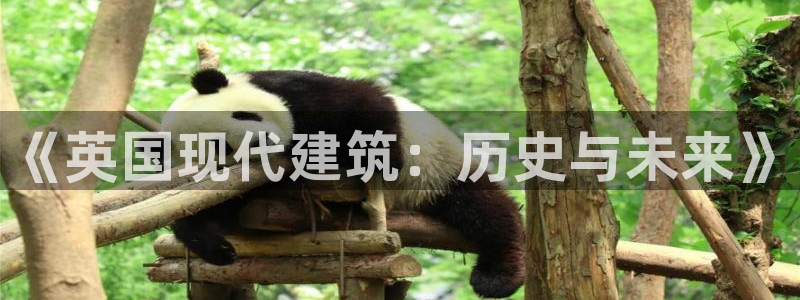 意昂平台体育：《英国现代建筑：历史与未来》