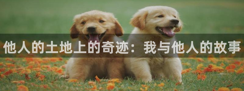 意昂体育3招商电话号码是多少号