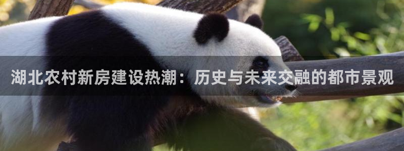 意昂3开户：湖北农村新房建设热潮：历史与未来交融的都市景观