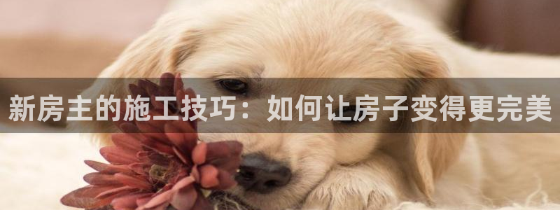 意昂3集团官网网址：新房主的施工技巧：如何让房子变得更完美