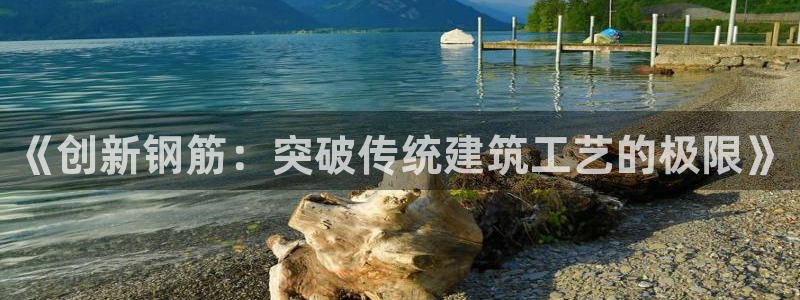 意昂体育3平台注册流程视频：《创新钢筋：突破传统建筑工艺的极限》