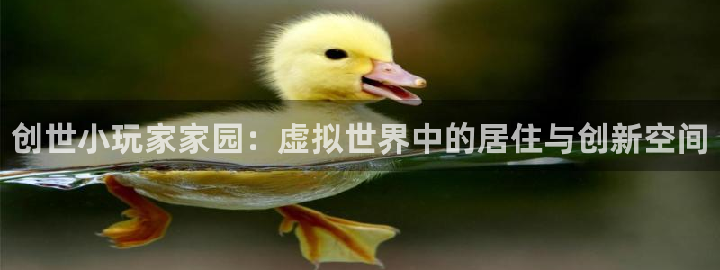 意昂体育3招商电话地址查询：创世小玩家家园：虚拟世界中的居住与创新空间