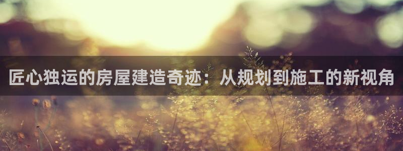 意昂体育3招商电话：匠心独运的房屋建造奇迹：从规划到施工的新视角