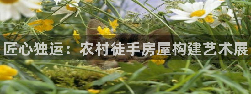 意昂体育3平台注册要钱吗是真的吗：匠心独运：农村徒手房屋构建艺术展