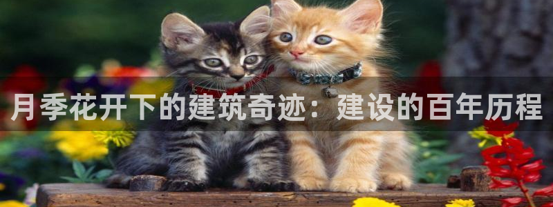 意昂体育3招商电话是多少啊：月季花开下的建筑奇迹：建设的百年历程