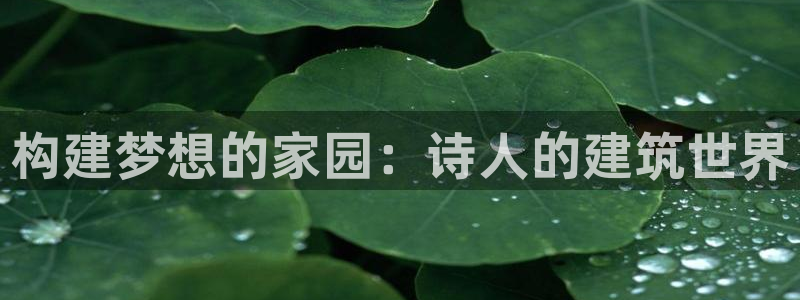 意昂体育3平台注册要钱吗是真的吗：构建梦想的家园：诗人的建筑世界