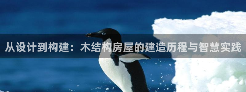 意昂体育3平台是正规平台吗知乎