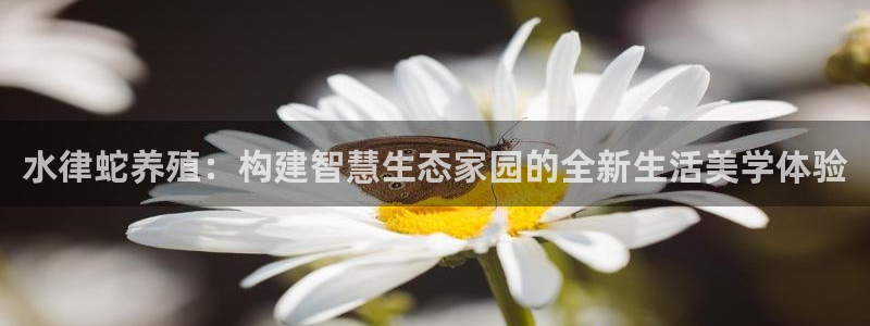 意昂3五金厂：水律蛇养殖：构建智慧生态家园的全新生活美学体验