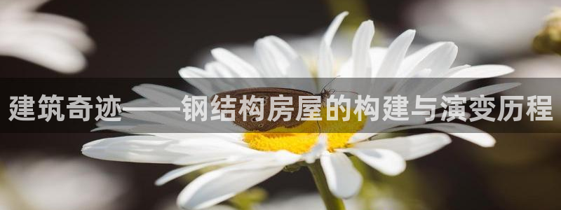 意昂体育3平台APP：建筑奇迹——钢结构房屋的构建与演变历程