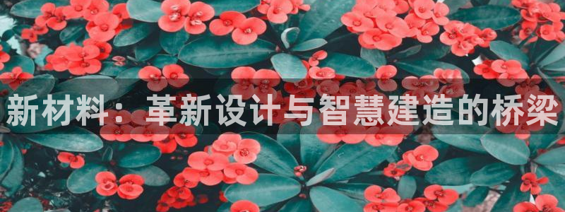 意昂体育3招商电话号码是多少号：新材料：革新设计与智慧建造的桥梁