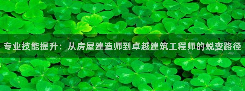 意昂体育3娱乐：专业技能提升：从房屋建造师到卓越建筑工程师的蜕变路径