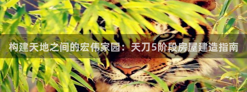 意昂3娱乐首页官网下载：构建天地之间的宏伟家园：天刀5阶段房屋建造指南