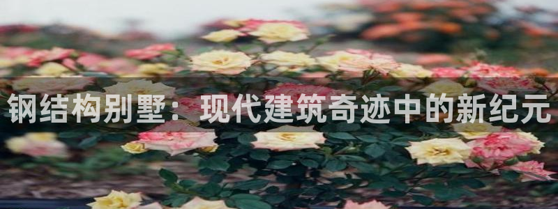 意昂体育3联系电话：钢结构别墅：现代建筑奇迹中的新纪元