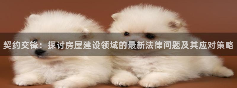 意昂3娱乐40996：契约交锋：探讨房屋建设领域的最新法律问题及其应对策略
