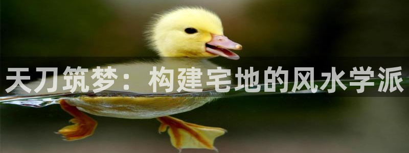 意昂体育3平台注册要钱吗是真的吗：天刀筑梦：构建宅地的风水学派